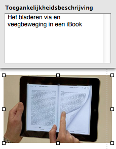 Een foto met zijn toegankelijkheidsbeschrijving
