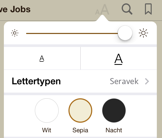 Het weergavepaneel bij een commercieel iBook