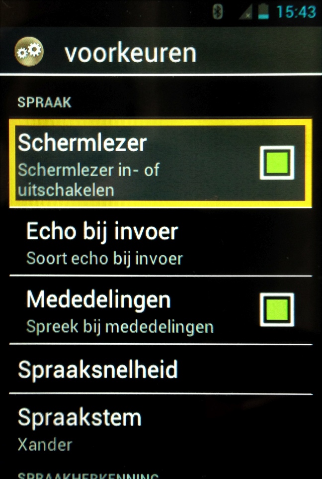Het Kapsys-toegankelijkheidsmenu