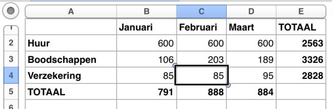 Voorbeeld van spreadsheet