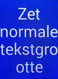 Grote tekstgrootte