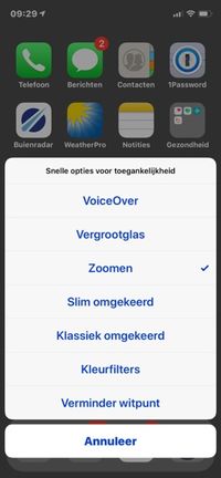 Het menu 'Snelle opties voor toegankelijkheid' van de iPhone