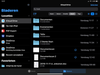 Scherm van de geopende Bestanden- applicatie op de iPad.