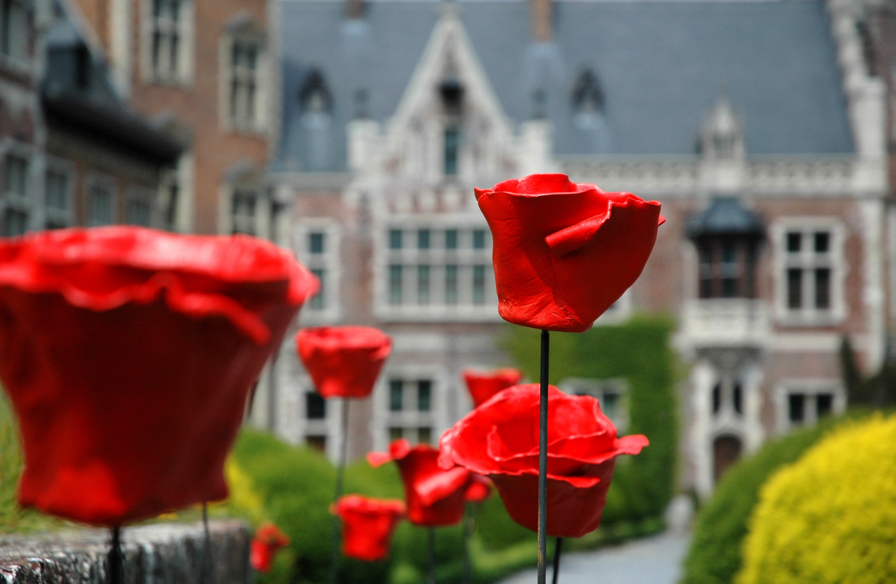 klaprozen voor middeleeuws gebouw