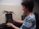 Click to see IMG_0252.JPG